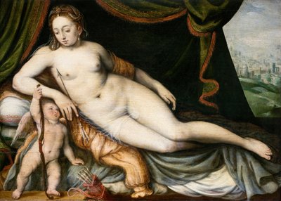 Venus und Amor von Frans Floris